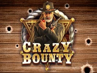 Crazy Bounty game thumbnail